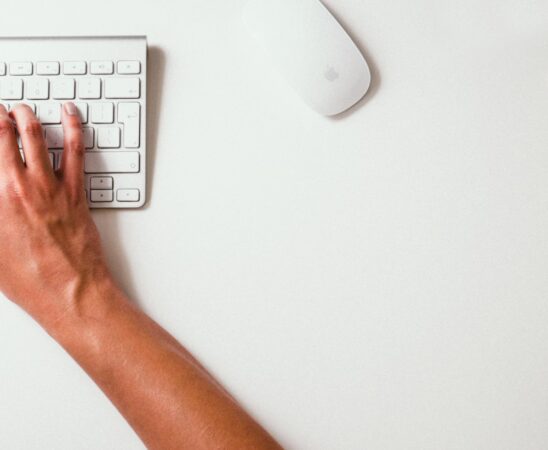 Webáruház linképítés a Kanga Design SEO ügynökségtől