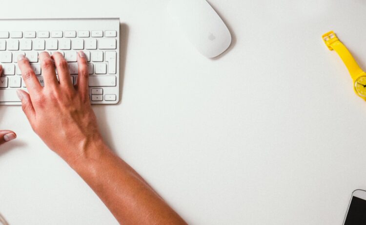 Webáruház linképítés a Kanga Design SEO ügynökségtől