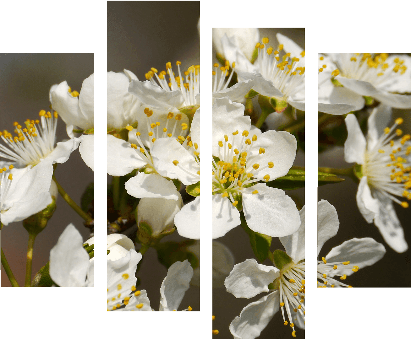 vászonkép rendelés